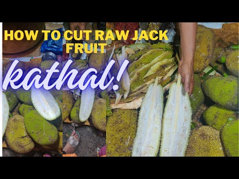 how to cut raw jackfruit कटहल काटिये इस तरीके से