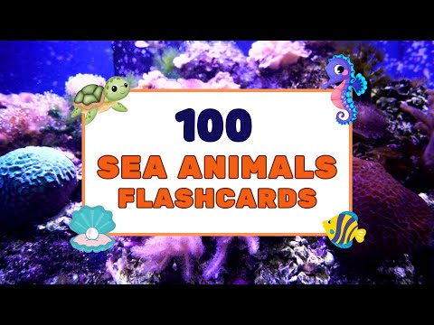 Sea Animals Flashcards for Kids - Fun and Educational Learning!