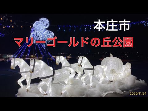 本庄市 マリーゴールドの丘公園のイルミネーション2020/11/24