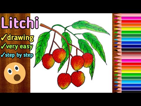 litchi drawing 🍓🍓step by step draw litchi 🍓🍓easy litchi draw 🍓🍓লিচুর থোকা ড্রয়িং