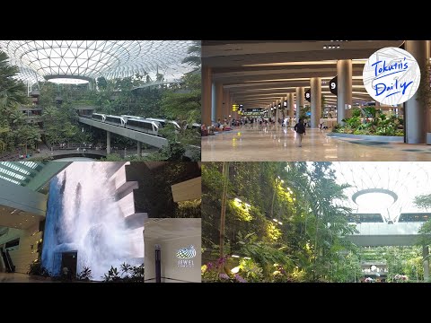 How to get to Jewel Changi Airport. The last spot before returning home from Singapore.