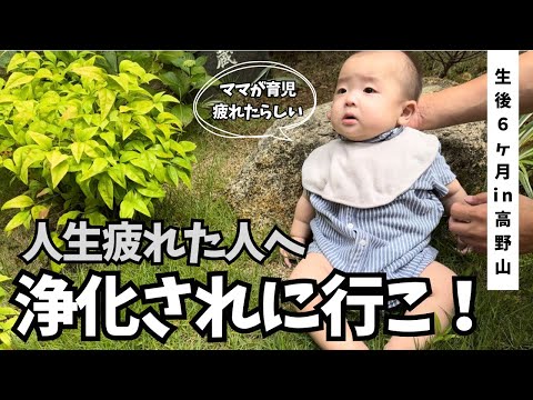 【育児疲れ】高野山行ってきたVlog【生後６ヶ月】