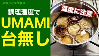 🍄新情報🪵 シイタケのUMAMIを調理方法でムダにしない方法 #Shorts