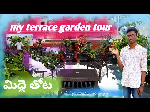 My garden tour( మిద్దె తోట)