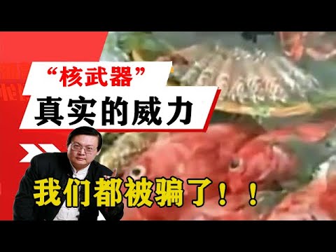 老梁揭秘系列-梁宏達講述：歷史上的「核武器」真實的威力到底多大？我們都被騙了！！老梁的評價一針見血丨天天五味評