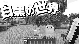 マイクラを白黒の世界にして遊んでみた！！【マイクラ】