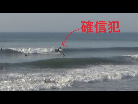 【初夏の陽気】週末サーフィン中に確信犯が現れた。