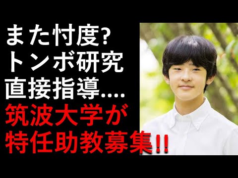 また「忖度」？筑波大学が特任助教募集！トンボ研究マンツーマン指導なの？？