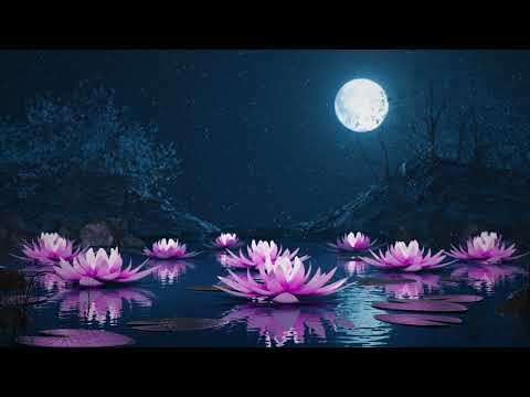 888Hz Music - Attract Positive Energy While You Sleep | Theta Binaural Meditation Music | 1 Hr