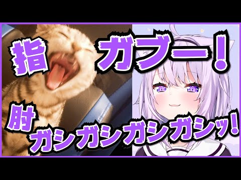 てまにゃんとタイガの攻撃タイプを解説するおかゆん【猫又おかゆ/ホロライブ切り抜き】