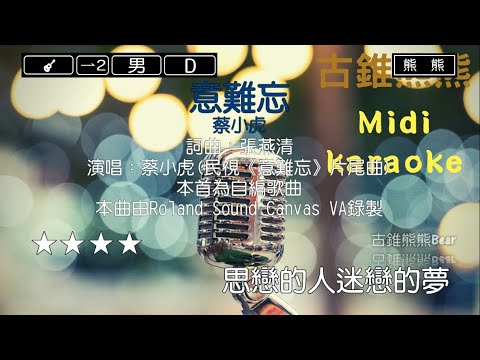 意難忘-蔡小虎(Karaoke伴奏)