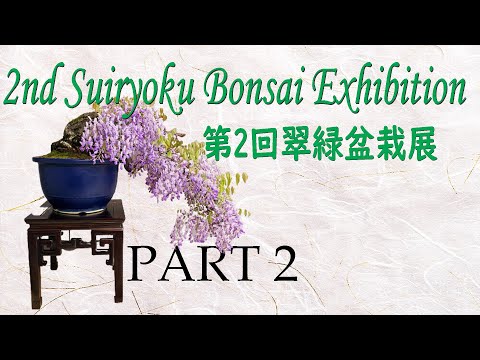 2nd Suiryoku Bonsai Exhibition ・第2回翠緑盆栽展 2023 - PART 2