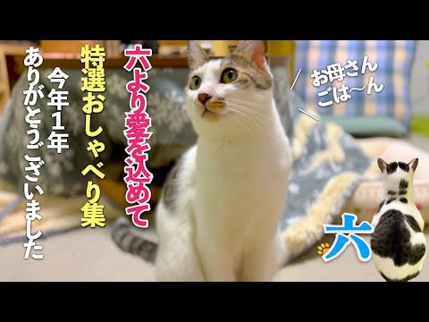 愛猫の六より[おしゃべり集]をお届け。今年一年を振り返りながら感謝を込めて | [生まれ変わりの猫] 六 (Roku)