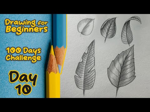 Drawing for Beginners - Day 10 || 100 Days Challenge || Leaf Drawing #sketchboookbyabhishek