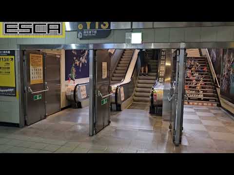 [Y13 Exit] Taipei Underground Mall Escalator Up OTIS