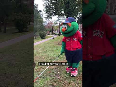 Wally the Green Monster uses a white cane