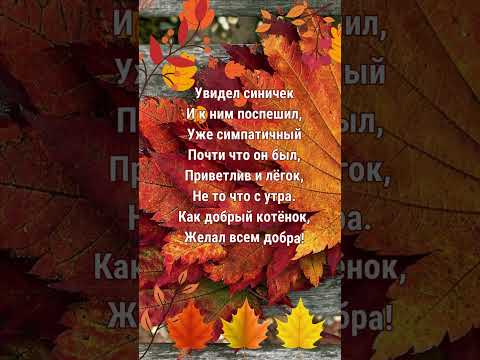 День доброты 13 ноября #добро #доброта #сдобрымутром #праздник