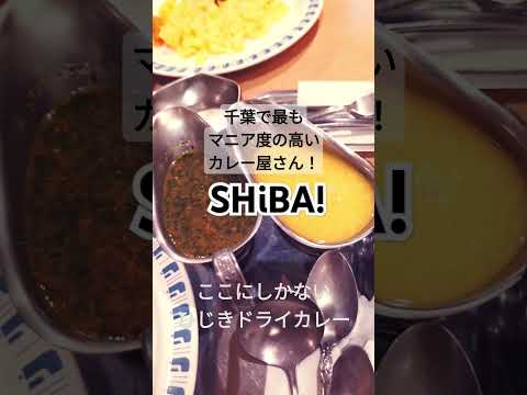 千葉で最もマニア度の高いカレー屋さんはここだ！　#カレー 　#カレーライス 　#ドライカレー 　#curry