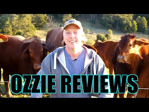 Ozzie Reviews Q & A - Episode #64 (Say hi to my cattle!)