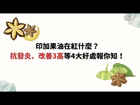 印加果油在紅什麼？抗發炎、改善3高等4大好處報你知！