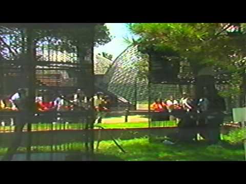 Caifanes en el Zoológico de Chapultepec 1991