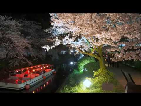 松川夜桜  ＶＥＲ２