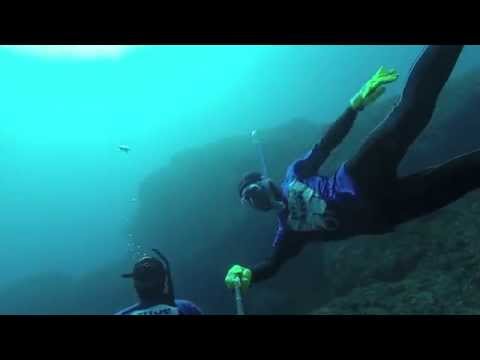 ５月中旬の八丈島で素潜り！早朝ダイブ！カメと泳ぐ！Freediving in Hachijo-Island, Japan