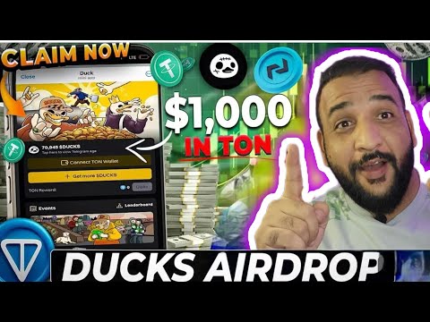 Why Ducks Coin is the Future of Finance