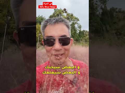 في الحياة تجمعنا صدفة رائعة