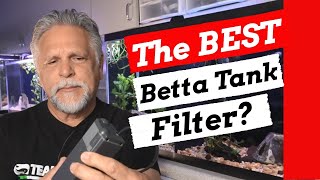 BETTA FISH HABITAT TIPS and a *Review of the Sicce Micron Filter*