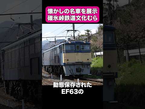 国鉄の名車が30両以上展示してある碓氷峠鉄道文化むら #shorts