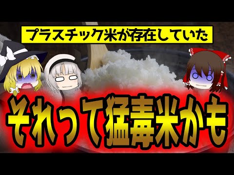 【衝撃】プラスチック米が存在してた！？もはや米ではない！【ゆっくり解説】