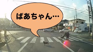 ドライブレコーダーに感動の優しいニャンコが映る！横断歩道を渡るおばあちゃんを気遣う猫がかわいい