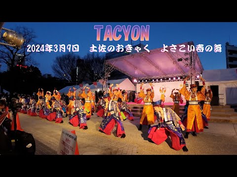 TACYON　よさこい春の舞　土佐の「おきゃく」2024 (4K)