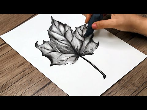 How to Draw a Leaf Step by Step | Realistic Pencil Drawing Tutorial