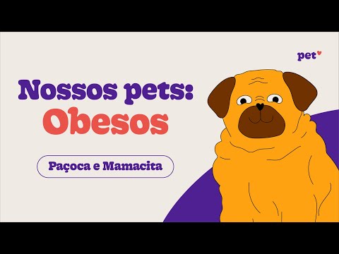 Nossos Pets: Obesos - Episódio 1 | Paçoca e Mamacita