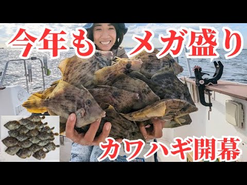 ２０２３今年も好調です。竹岡沖のカワハギ釣り！サイズも肝も予想以上に大きい！　＃カワハギ　＃竹岡　＃メガ盛り持ち　　#カワハギ釣り　#カワハギ釣り船