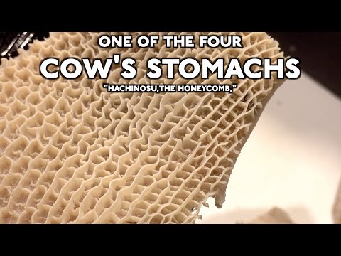 Introducing "Hachinosu, the Honeycomb", one of the four cow's stomachs !!