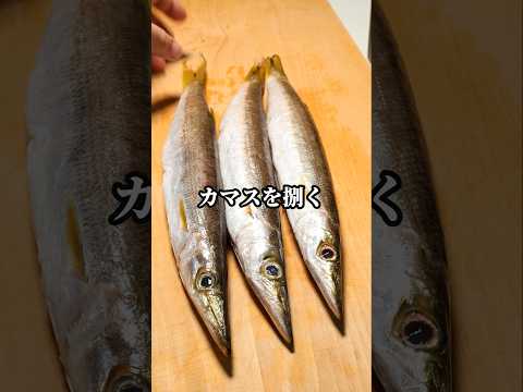 大カマスを三枚おろしで捌く #魚の捌き方