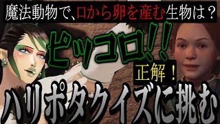 【まとめ】超難問ハリポタクイズに挑戦する花畑チャイカ【にじさんじ切り抜き/花畑チャイカ/ホグワーツ・レガシー/ハードモード】