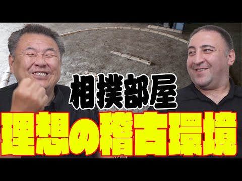 【相撲部屋部屋制度】理想の稽古環境は？藤島部屋の黄金期！栃ノ心の春日野部屋は？