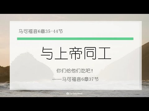 11月26日《灵命日粮》文章视频-与上帝同工