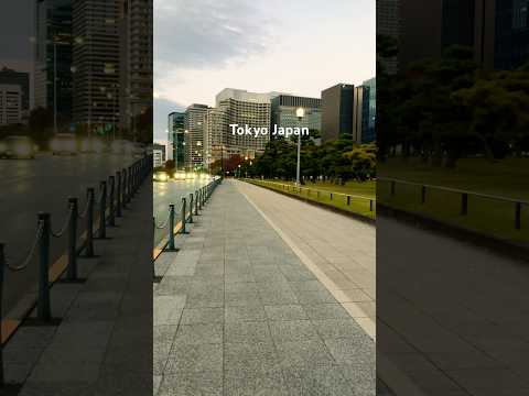 Beautiful Street View in Tokyo Japan #japan #travel #walkingtour #viralshorts #shorts