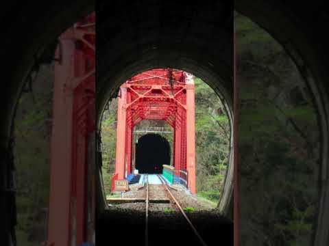 花田欣也 このすばらしきトンネル道「旧神岡鉄道跡」  #Shorts