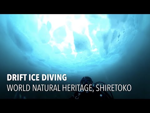 【北国ダイビング】氷の下の神秘的な世界！世界自然遺産・知床流氷ダイビング