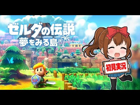 【孤島】ゼルダの伝説　夢をみる島【サバイバル】#２