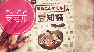 【保険】個人賠償責任保険「まるごとマモル」日常生活の損害賠償を補償する