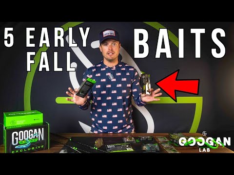 EARLY FALL 5 BEST Fishing BAITS! ( Bass Fishing Tips )