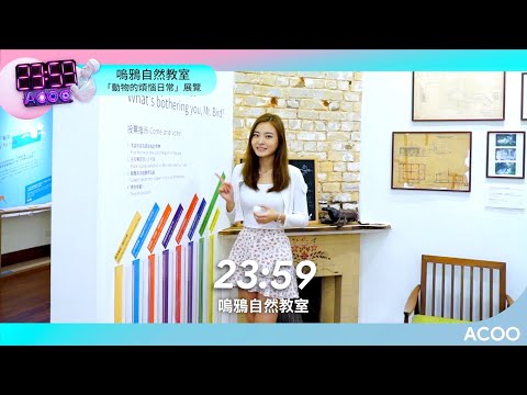 上到半山都有展覽睇？ 邊睇展邊認識小動物日常｜2359｜ACOO