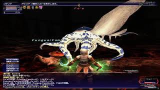 【FF11】倉庫猫で南海の魔神に挑んでみた！【印章60BF】